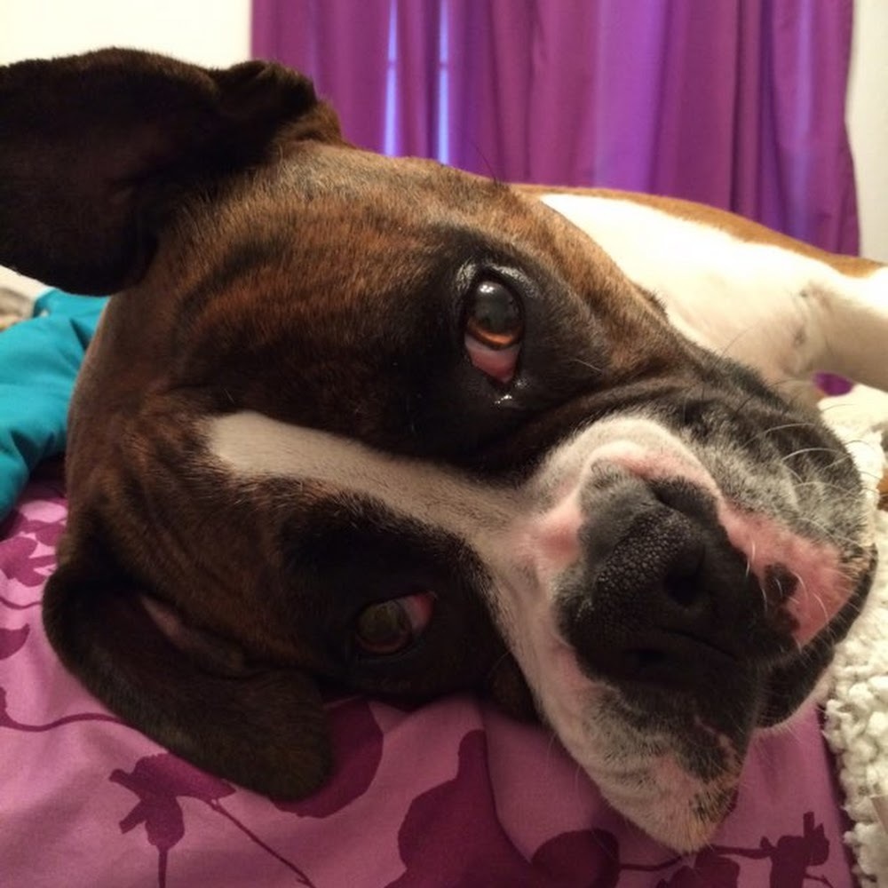 Meet your Posher, Ava